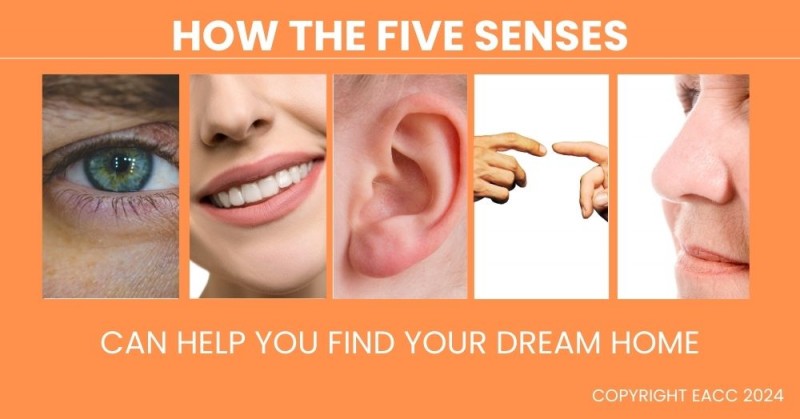 How the Five Sense Can Help You Find Your Dream Home in Medway