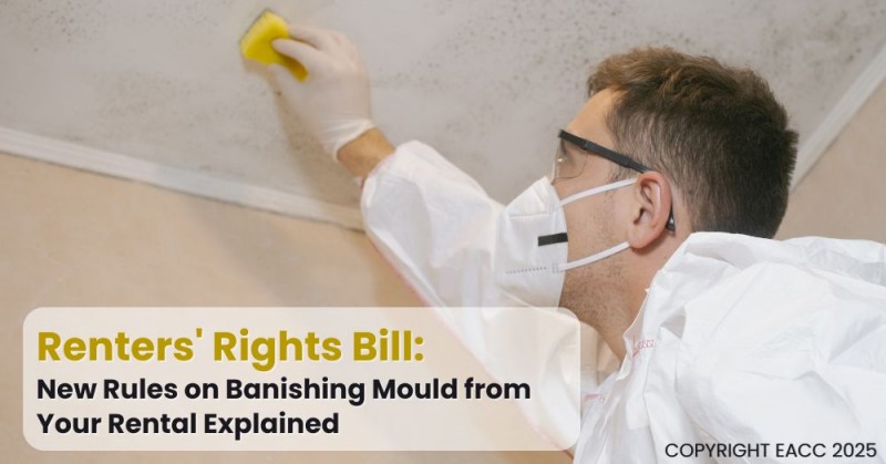 Renters' Rights Bill: New Rules on Addressing Mould Explained